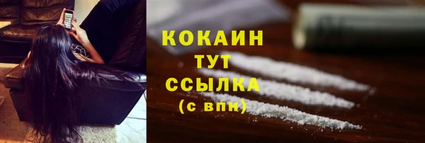 spice Алзамай