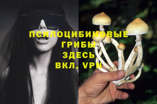 spice Алзамай