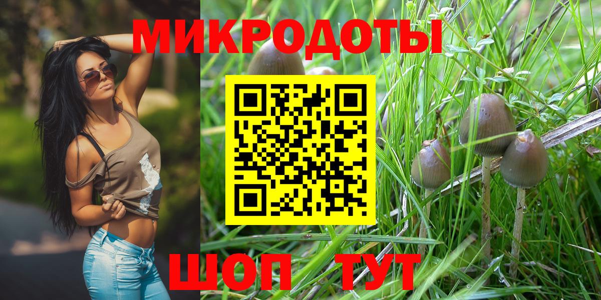 Псилоцибиновые грибы Cubensis Гусь-Хрустальный