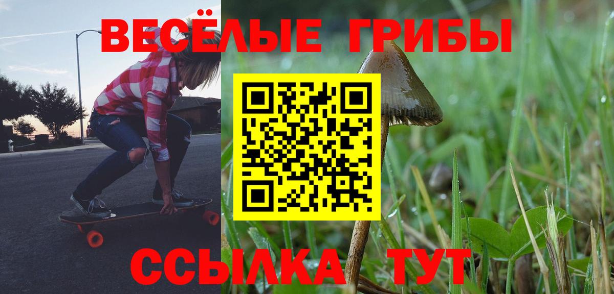 Гусь-Хрустальный  Псилоцибиновые грибы GOLDEN TEACHER  Вход с VPN  Галлюциногенные грибы мицелий 